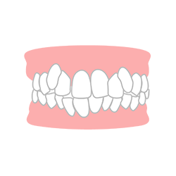 叢⽣(そうせい）